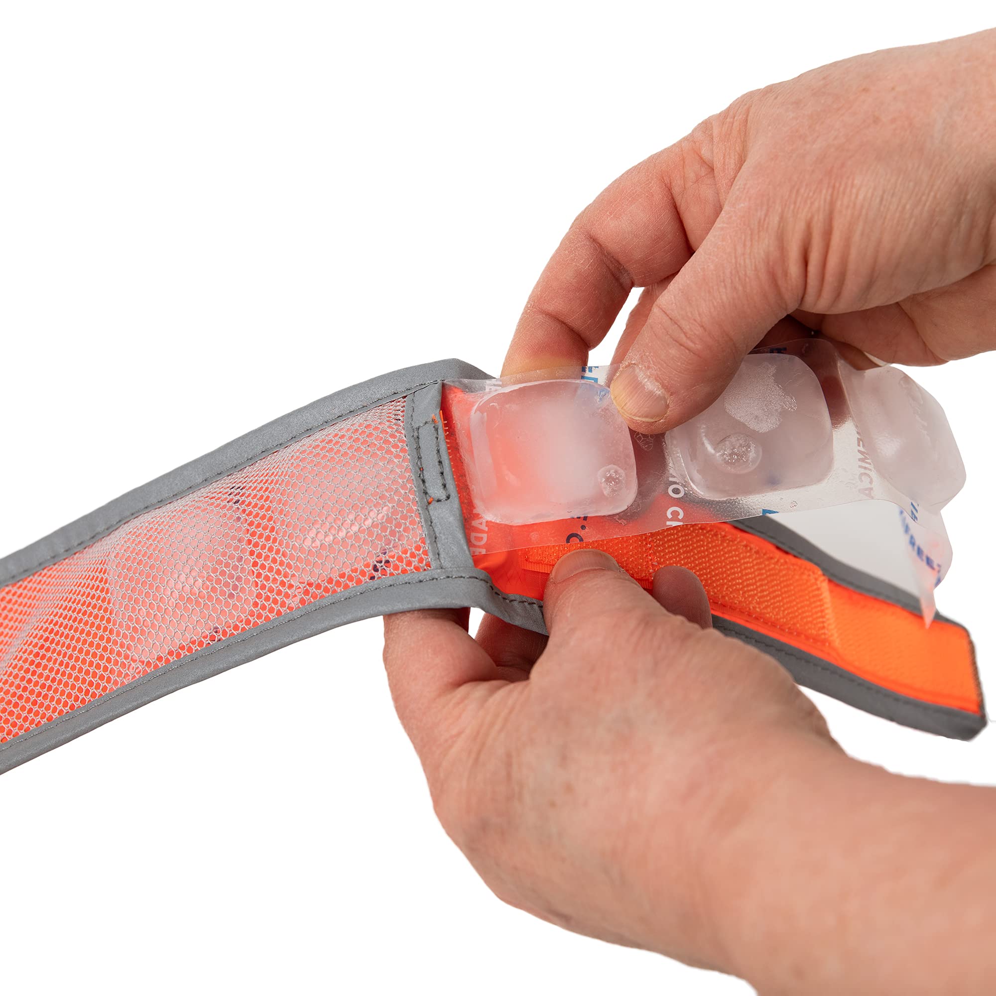 CoolerDog packaging et contenu incluant collier Small et deux inserts réfrigérables