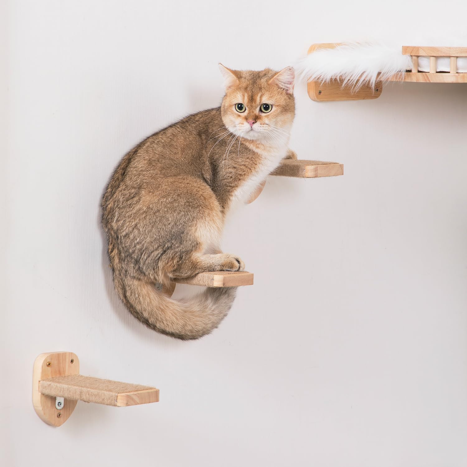 COOLEX installation murale simple avec trous pré-percés pour rapidité