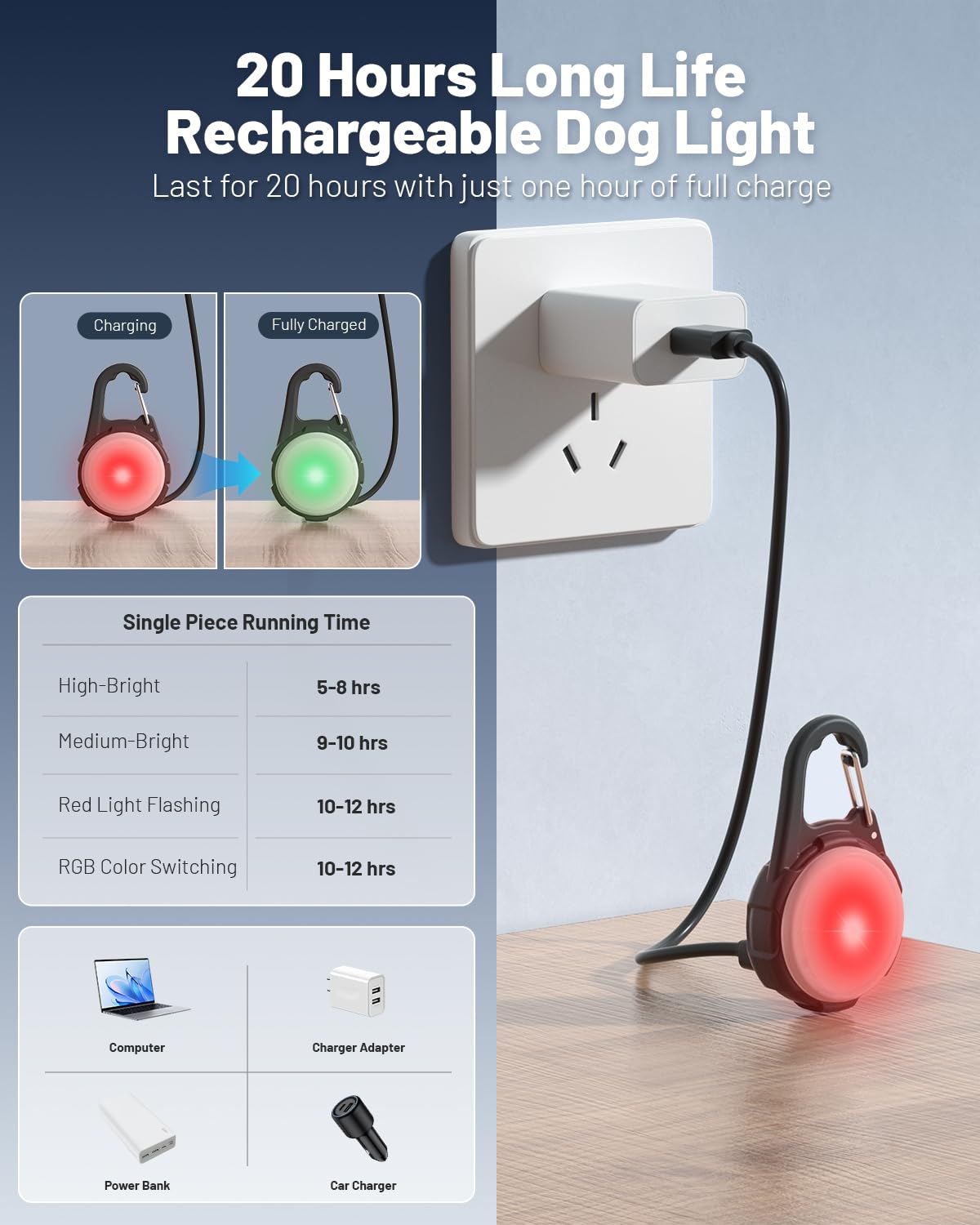 Coolice lampe fixée au collier démontrant visibilité nocturne