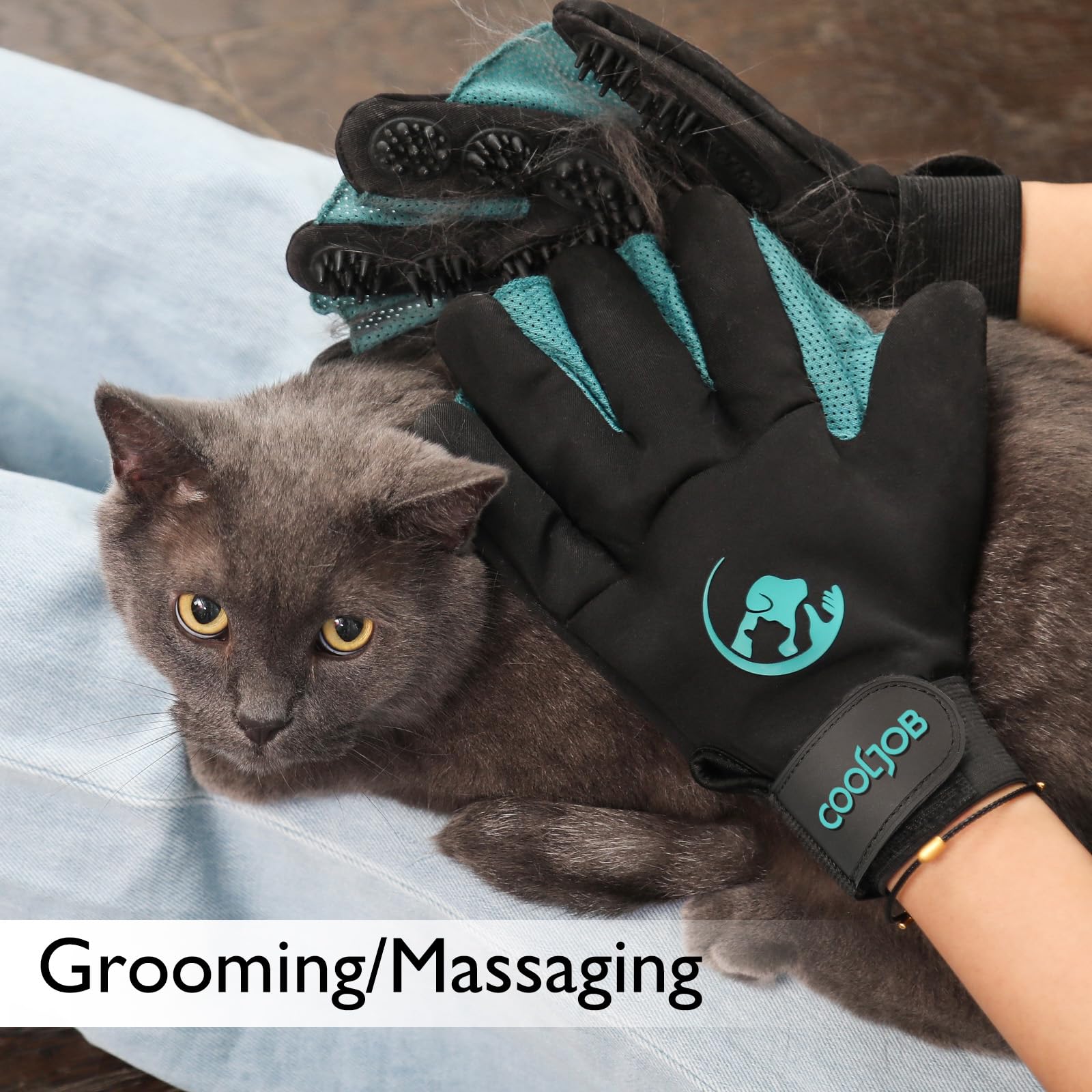 COOLJOB gant en usage pendant bain de chien, réduit stress