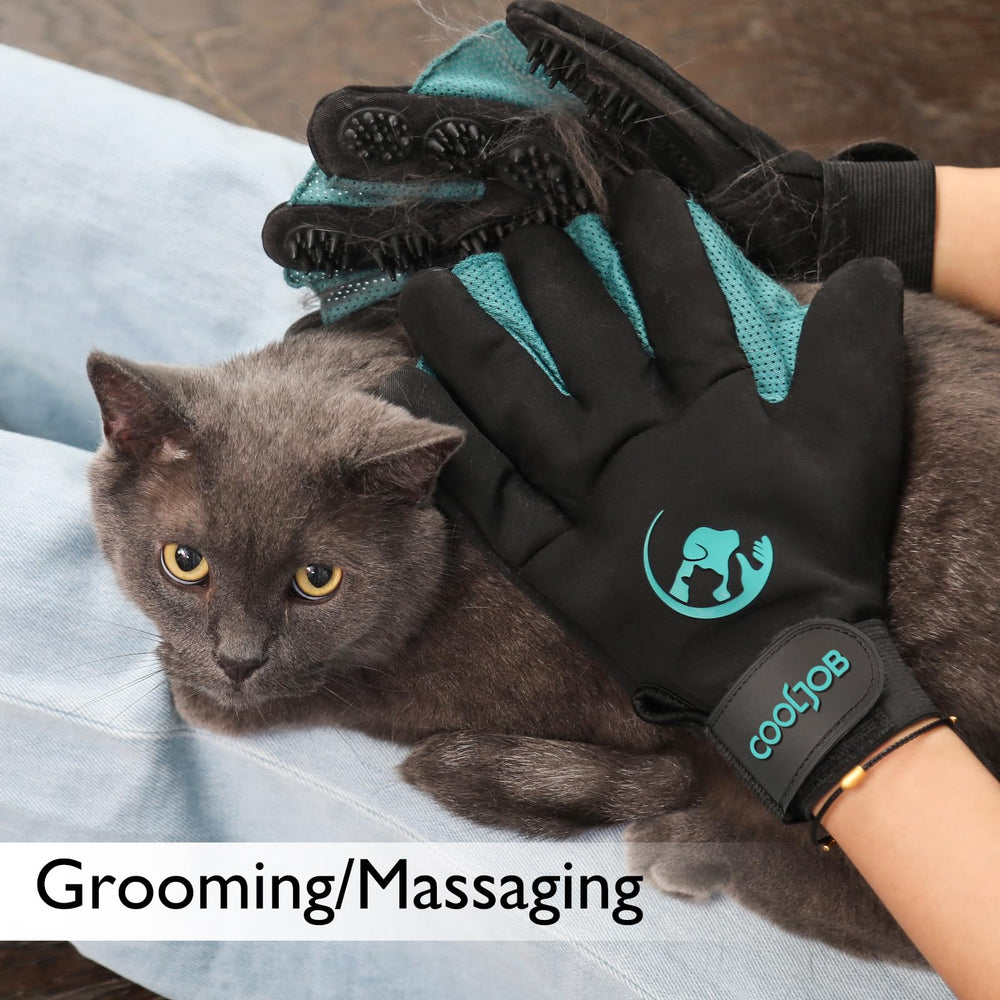 COOLJOB gant en usage pendant bain de chien, réduit stress