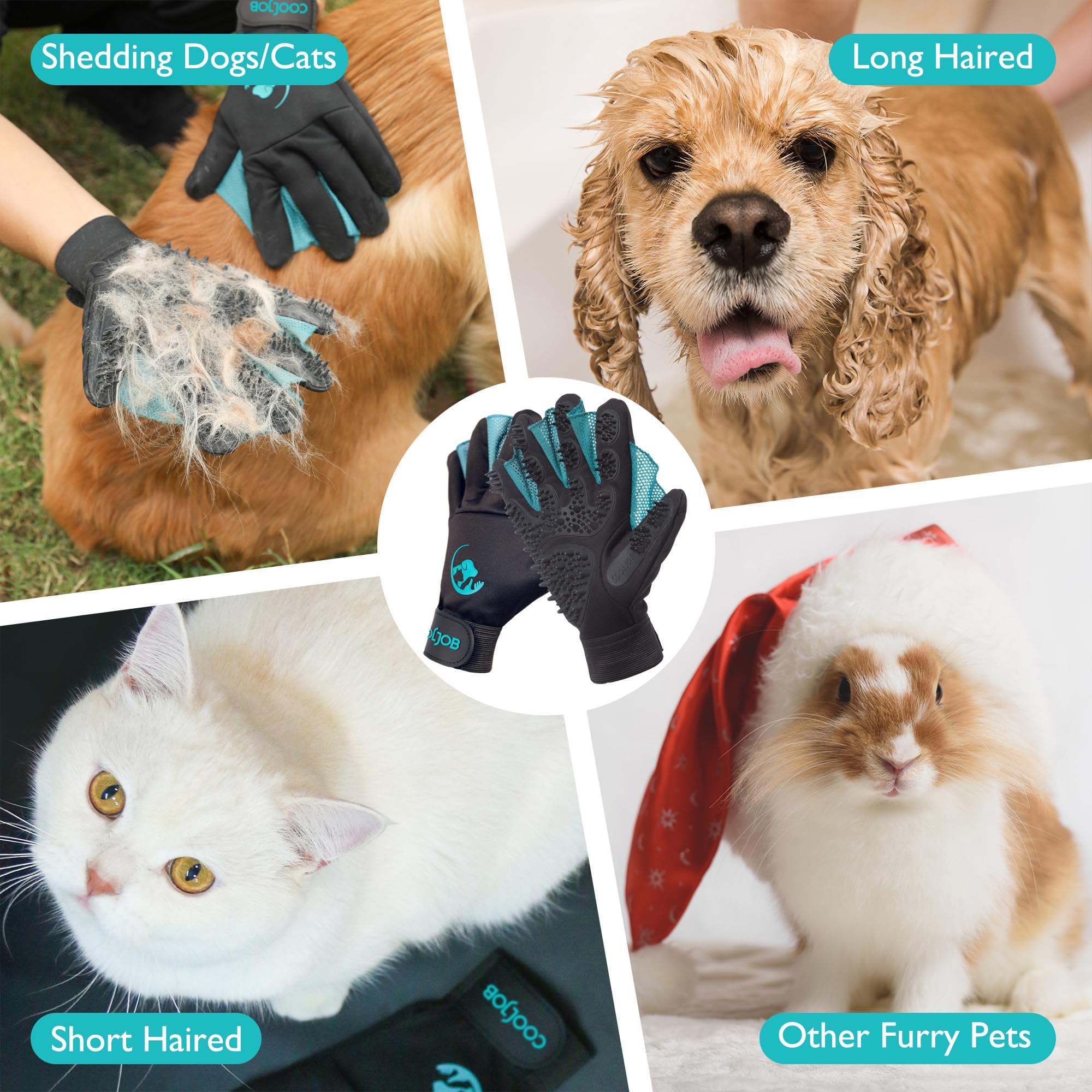 COOLJOB gant en usage sur chien pour bain doux et massage apaisant