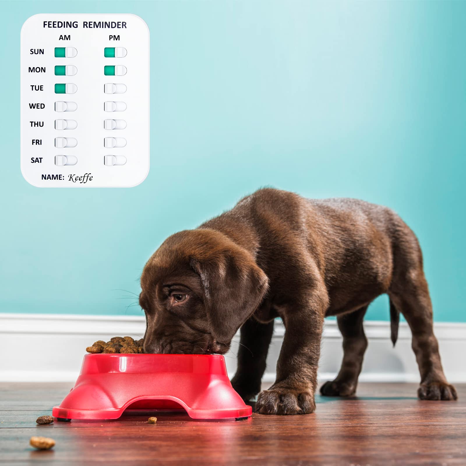 Fixation aimantée Coolrunner sur réfrigérateur, bénéfice : visibilité instantanée des repas