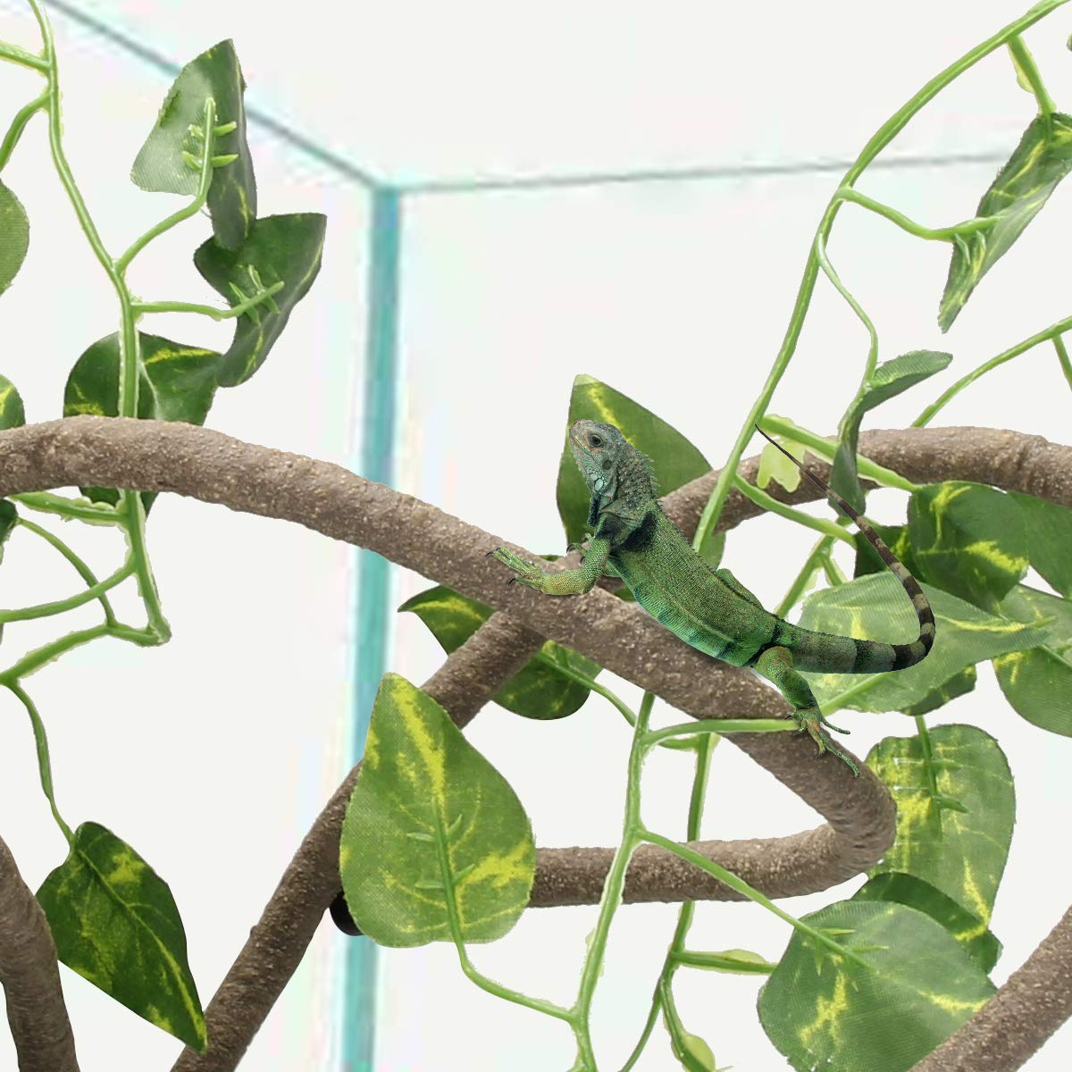 Coolrunner liane en situation lifestyle montrant décor naturel bénéfique au reptile