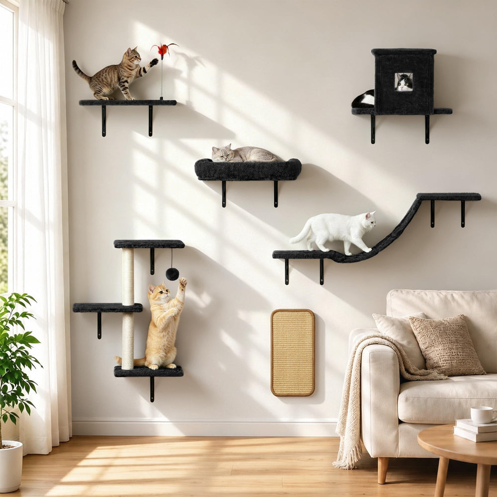 Coolsheepsia ensemble mural visible de face, installation gain de place