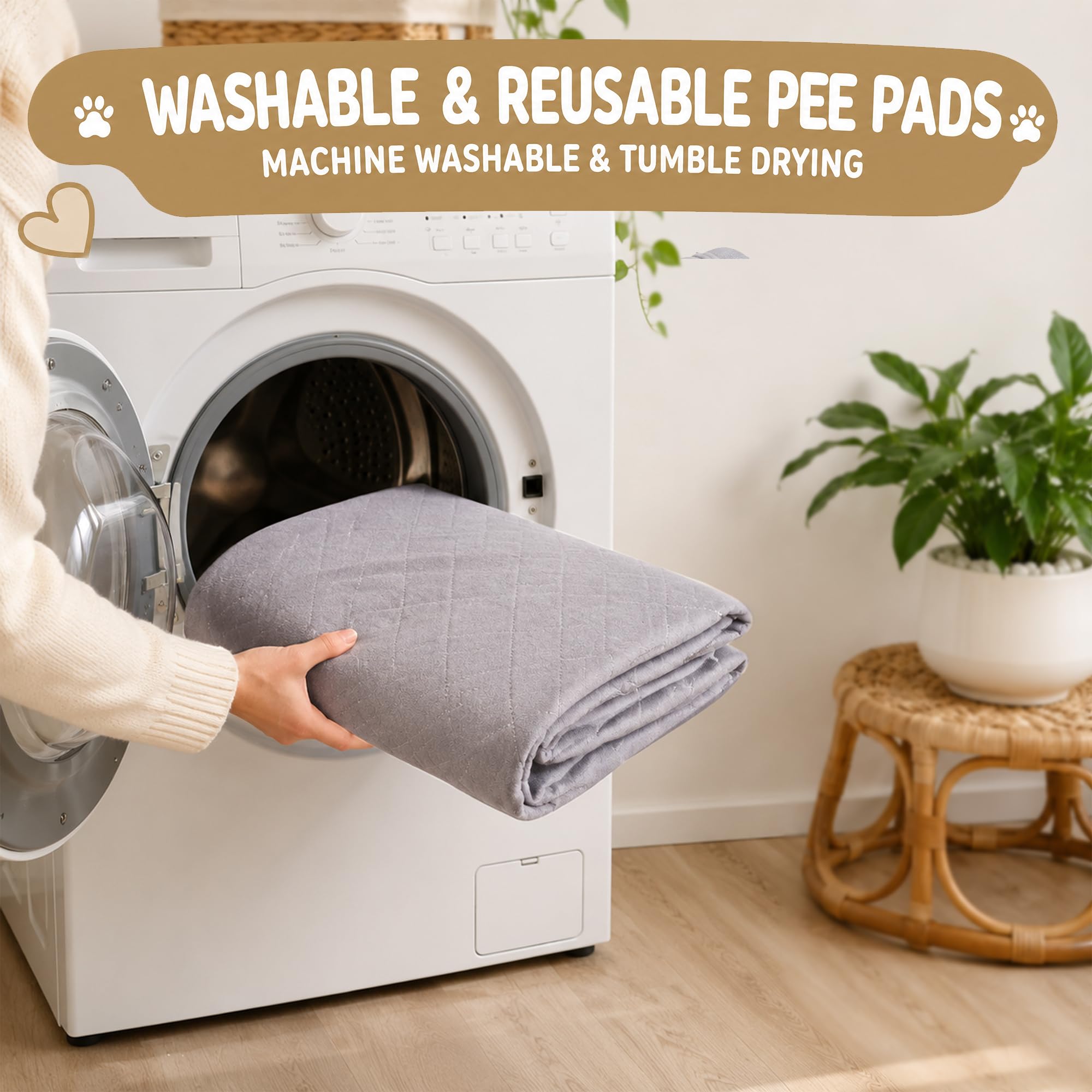 CoolShields alèse sur canapé avec chien réduisant salissures