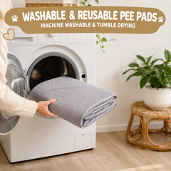 CoolShields alèse sur canapé avec chien réduisant salissures
