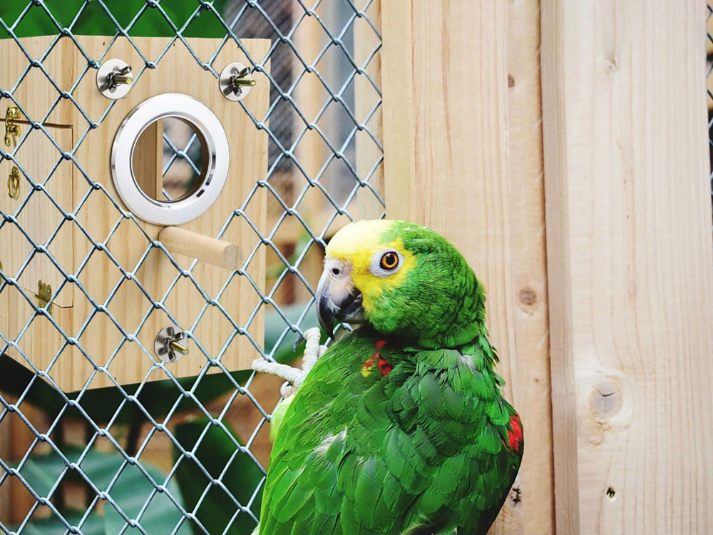 CooShou comparaison d'échelle avec un oiseau illustrant la taille adaptée et le confort