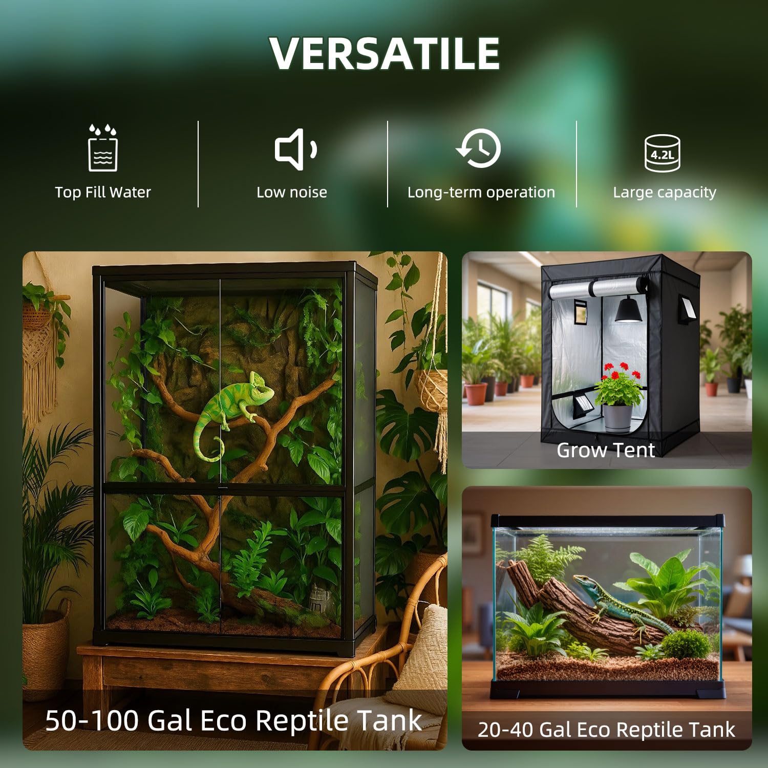 coospider brume fine dans terrarium maintenant humidité constante