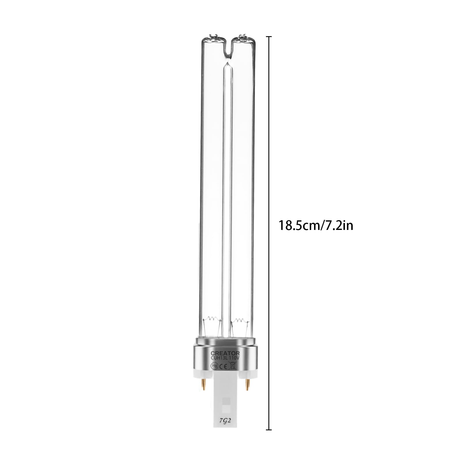 coospider-repta détail du culot G23 garantissant compatibilité facile avec stérilisateurs