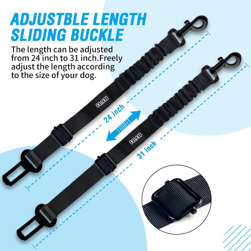 COOYOO gamelle pliable utilisée lors d'une pause en voiture, hydratation pratique