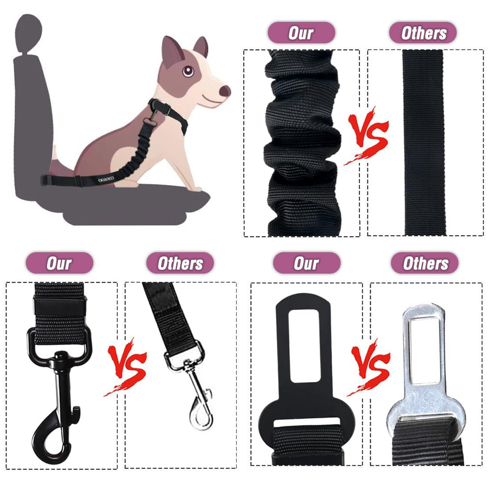 COOYOO gamelle pliable incluse, pratique pour hydratation en route