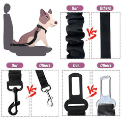 COOYOO gamelle pliable incluse, pratique pour hydratation en route