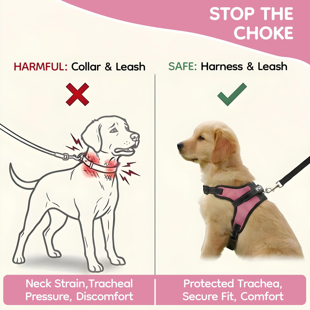 Copatchy comparaison taille montrant ajustement pour petit chien