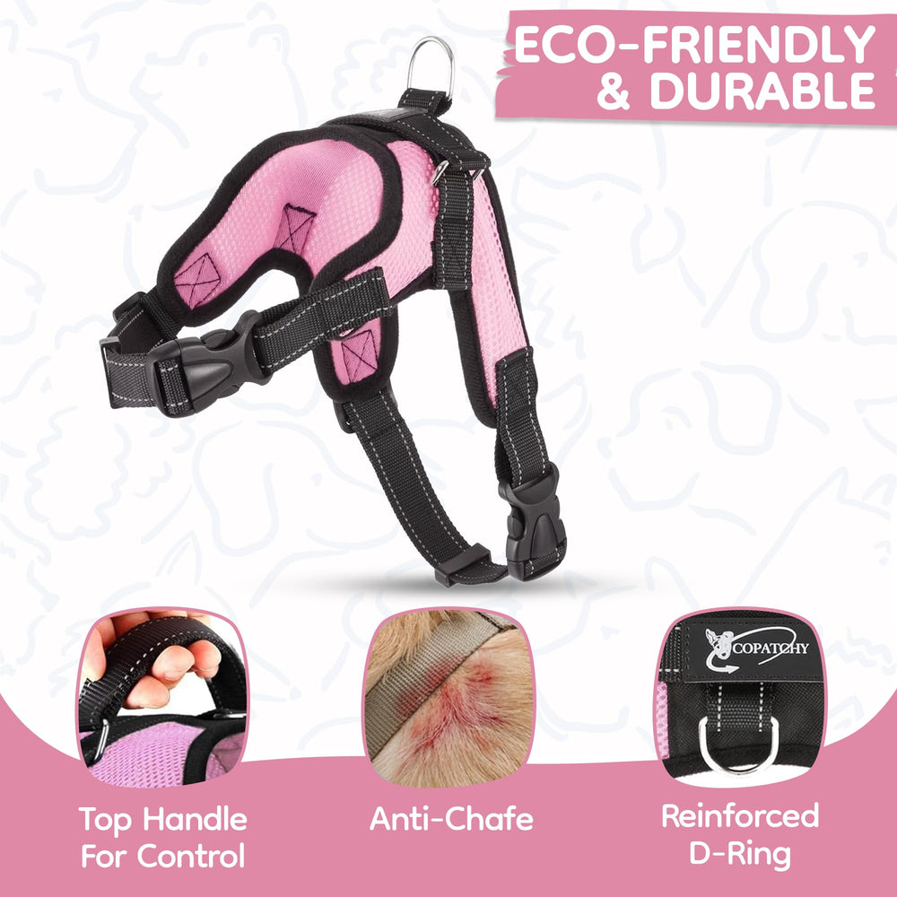 Copatchy maillage respirant évitant la surchauffe du chien