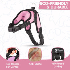 Copatchy maillage respirant évitant la surchauffe du chien