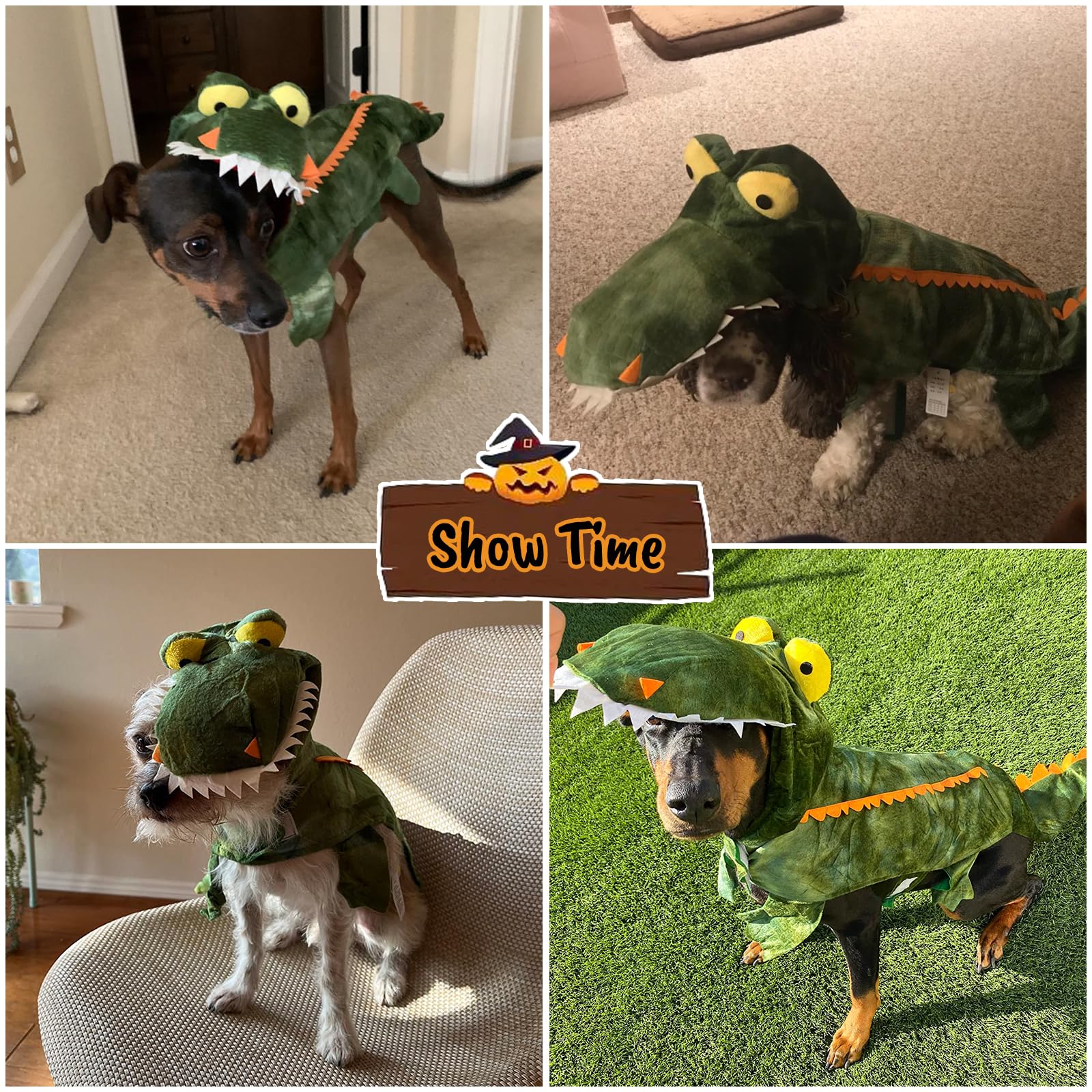 Coppthinktu chien portant costume en promenade, look protecteur et ludique