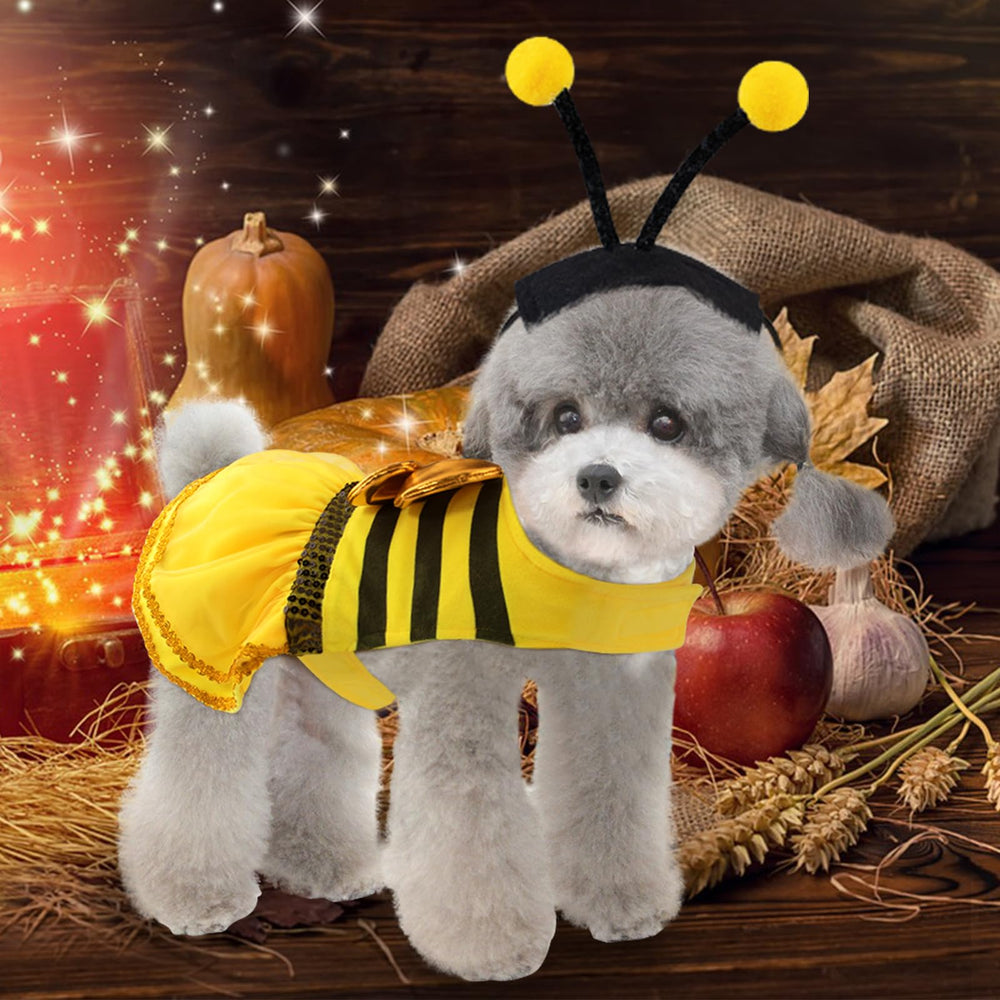 Coppthinktu chien portant le costume abeille lors d'une promenade, look festif et mobile