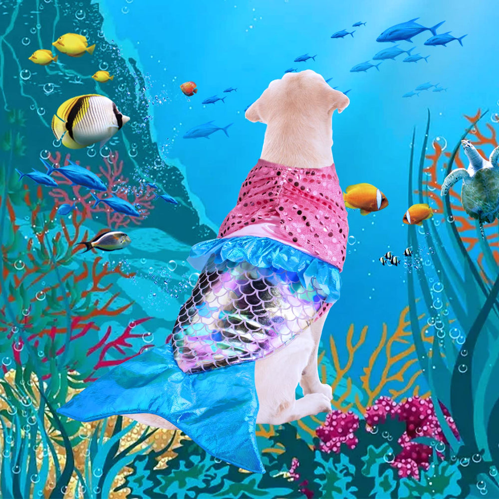 Coppthinktu comparaison taille costume montrant ajustement pour petit chien