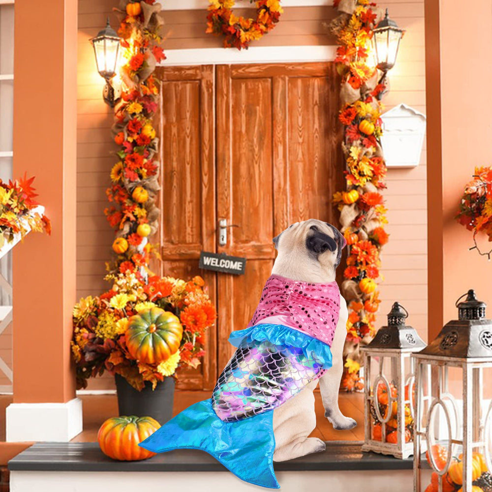 Coppthinktu chien en costume sirène dans une scène de fête attirant regards