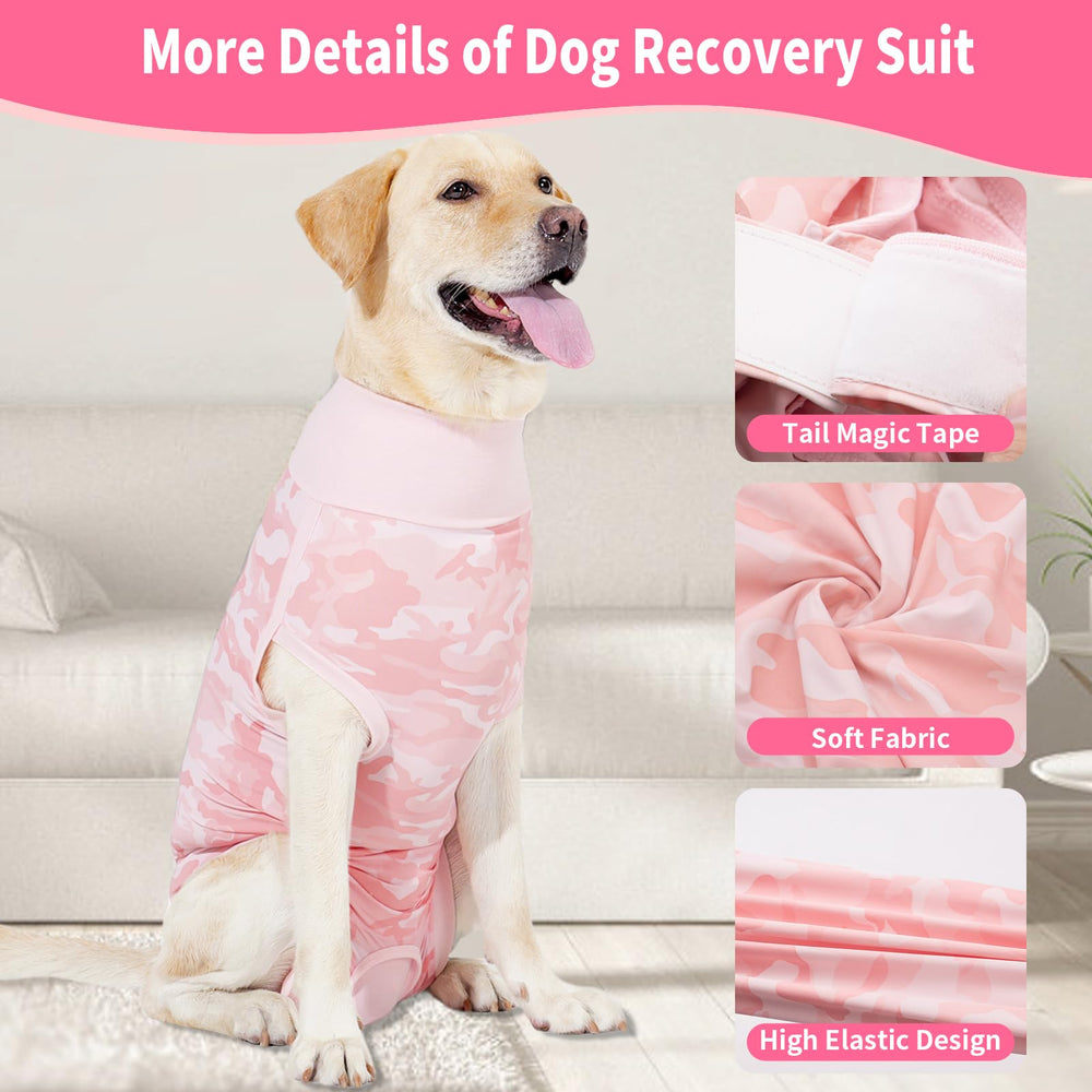 Coppthinktu chienne reposant avec onesie confortable et sécurité post-op
