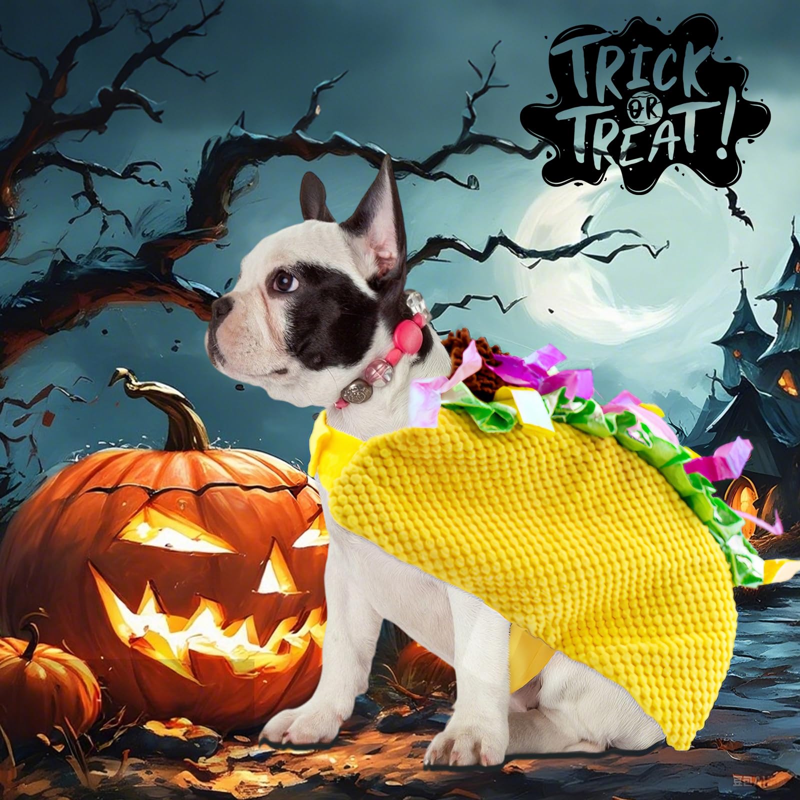 Coppthinktu costume taco comparaison taille pour choisir la bonne