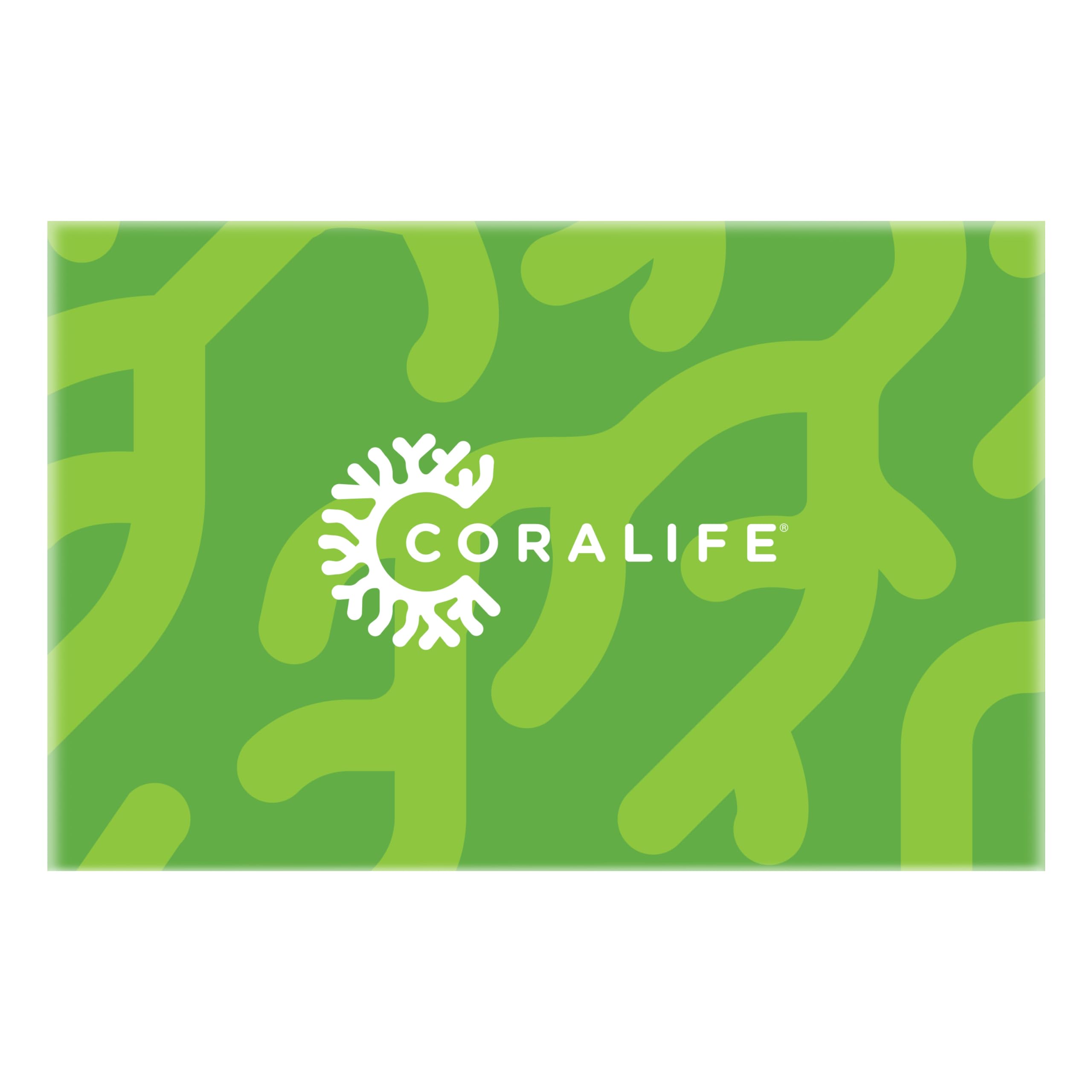 Coralife comparaison d'échelle montrant dimensions et intégration dans meuble