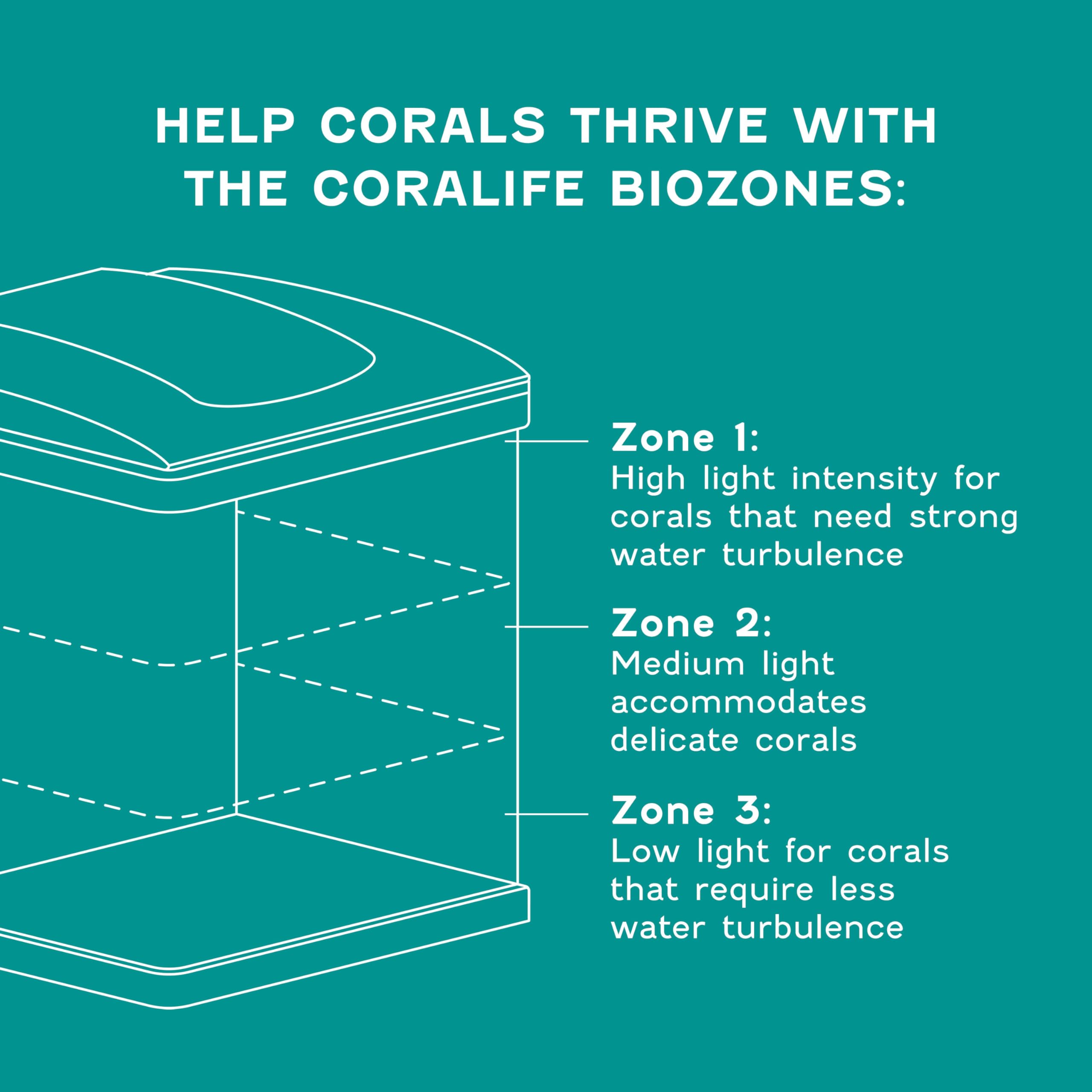 Coralife usage sans immerger les mains pour éviter contamination