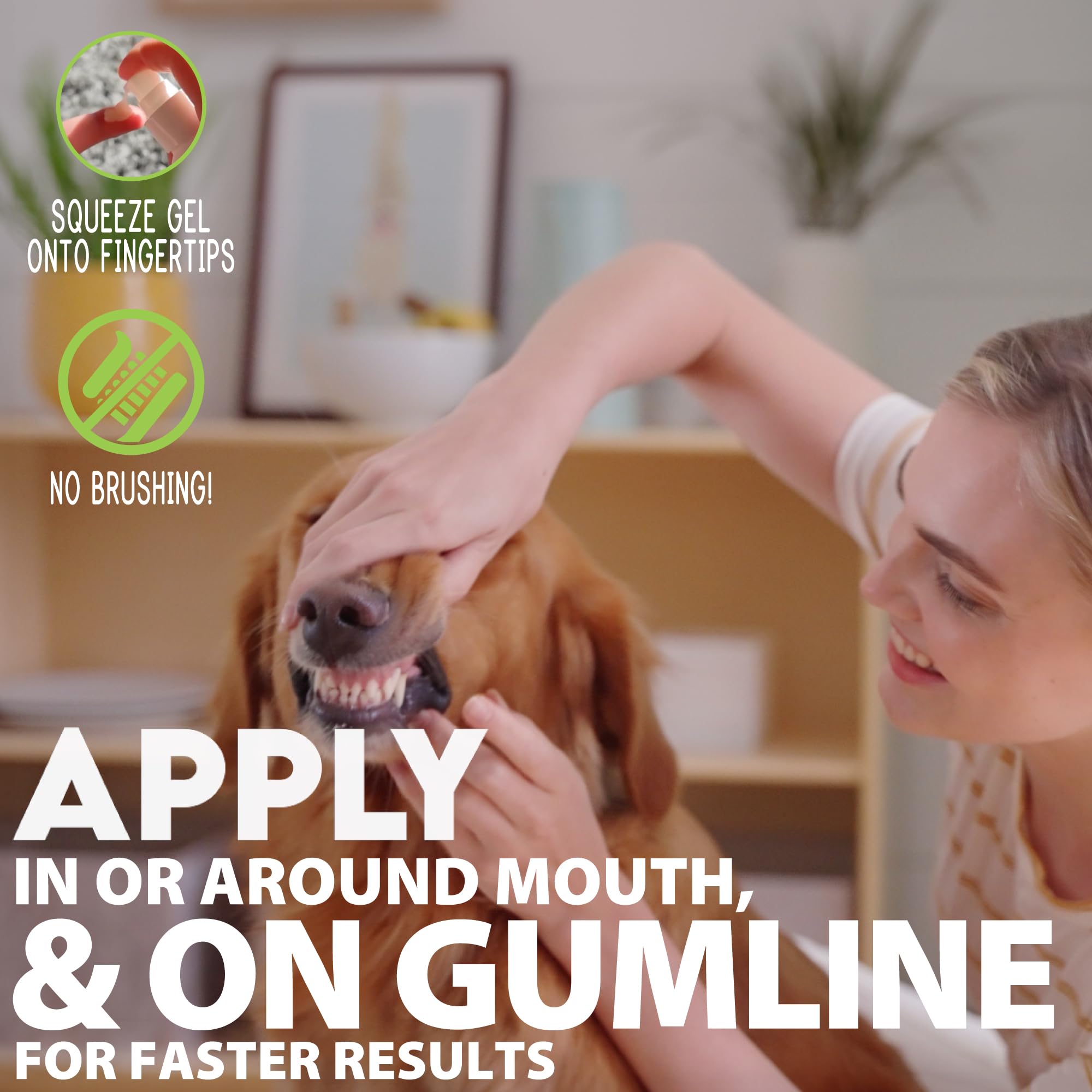CORE Pet application du gel sur les dents d’un chien, simplifie soin quotidien