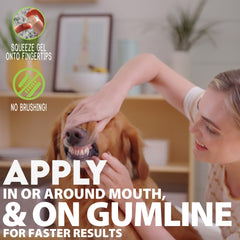 CORE Pet application du gel sur les dents d’un chien, simplifie soin quotidien