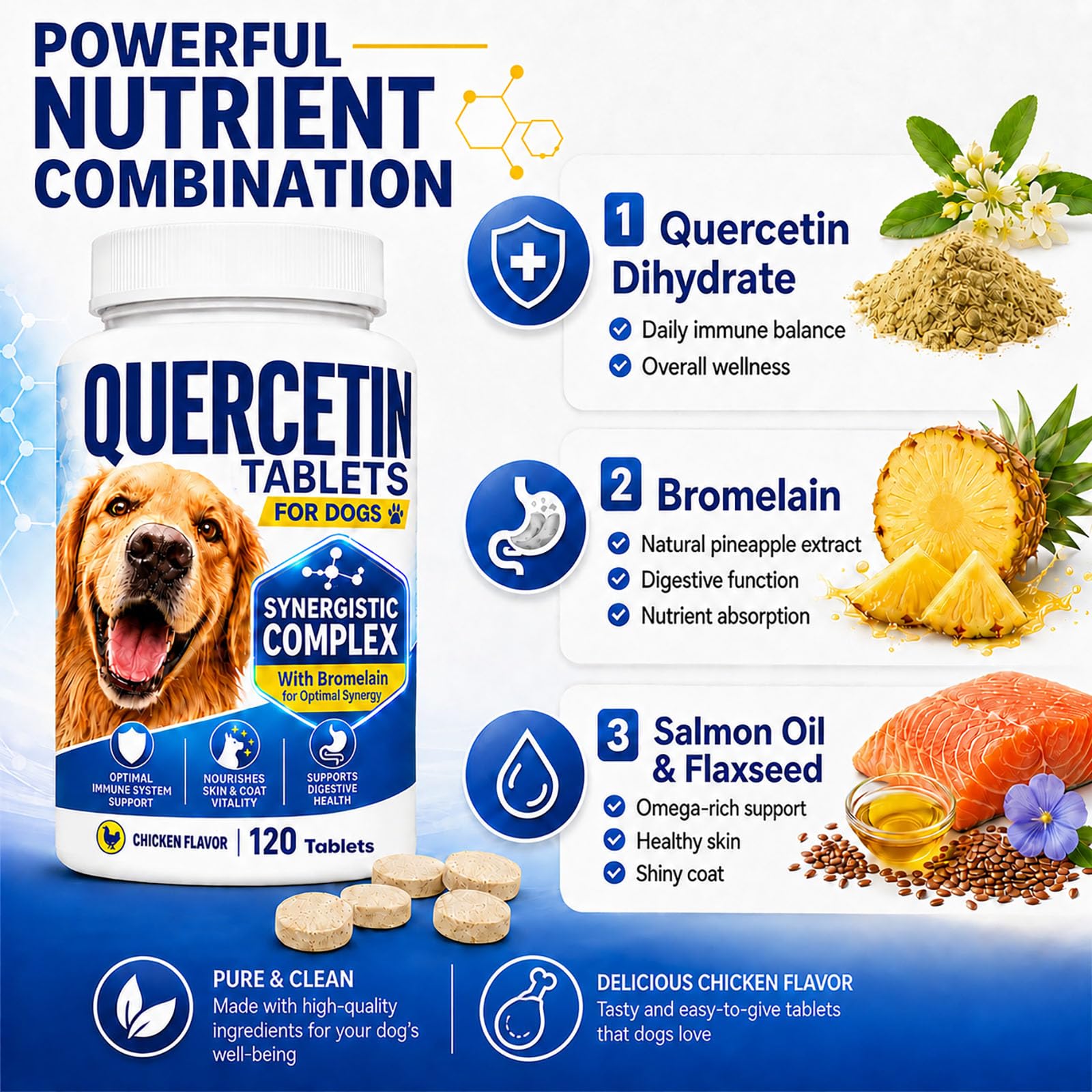 Coregnosis chien prenant comprimé illustrant acceptation et simplicité