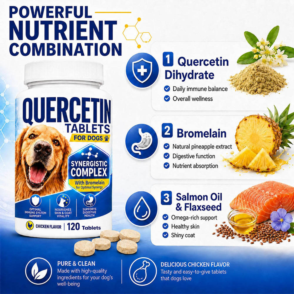 Coregnosis chien prenant comprimé illustrant acceptation et simplicité
