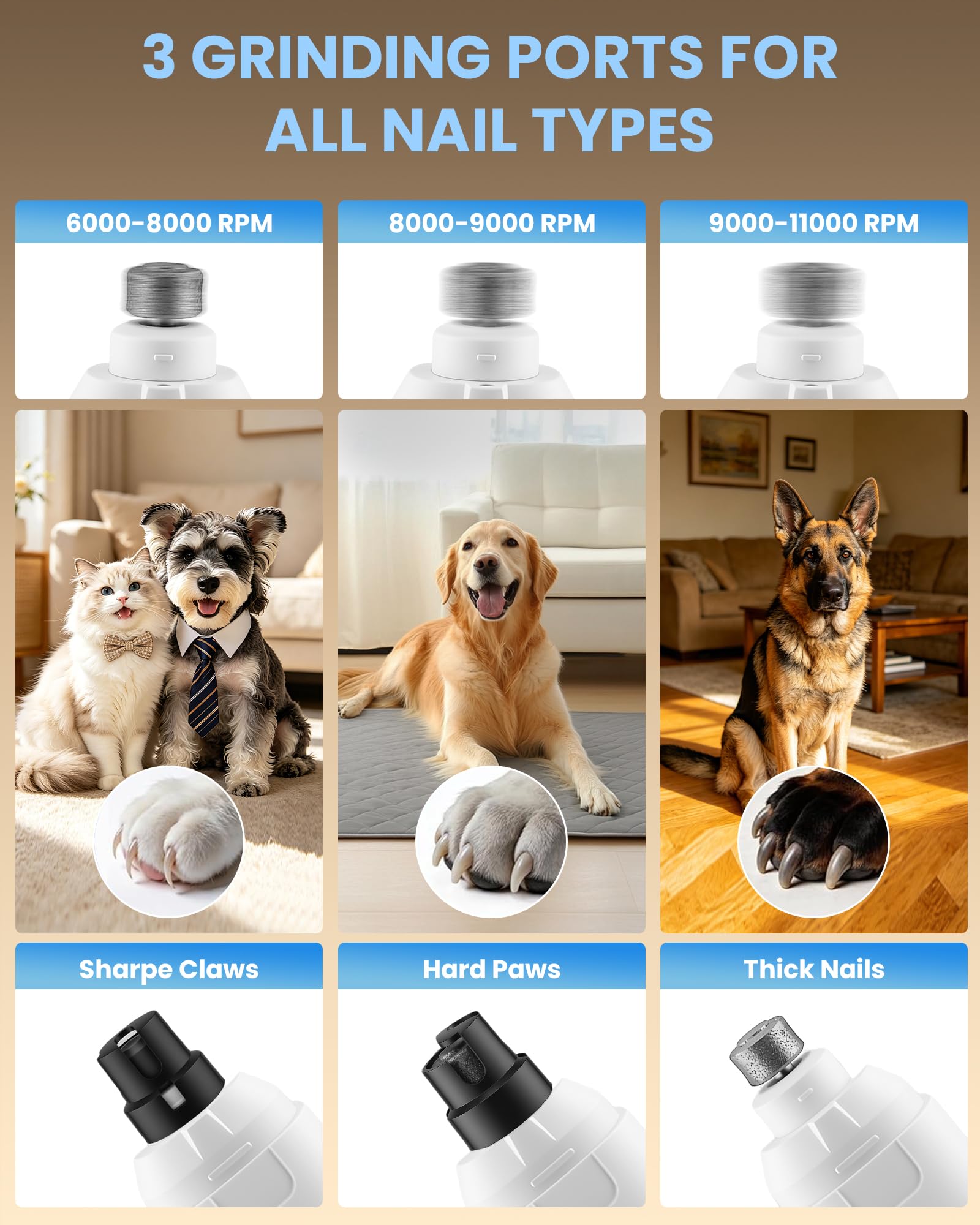 Cornnpet quatre protections adaptables illustrant les options de sécurité selon taille