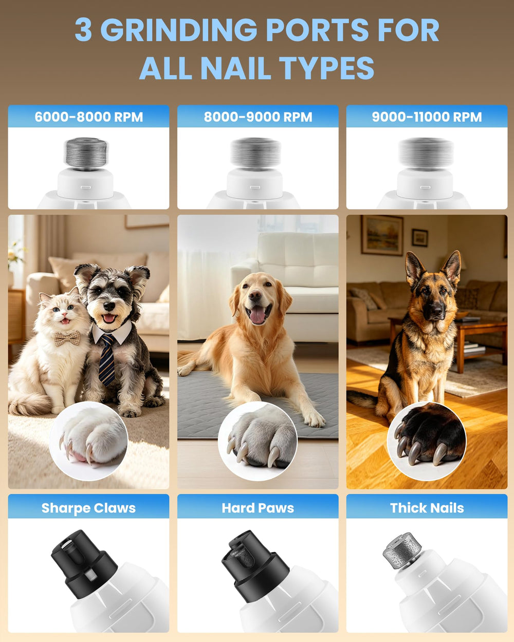 Cornnpet quatre protections adaptables illustrant les options de sécurité selon taille