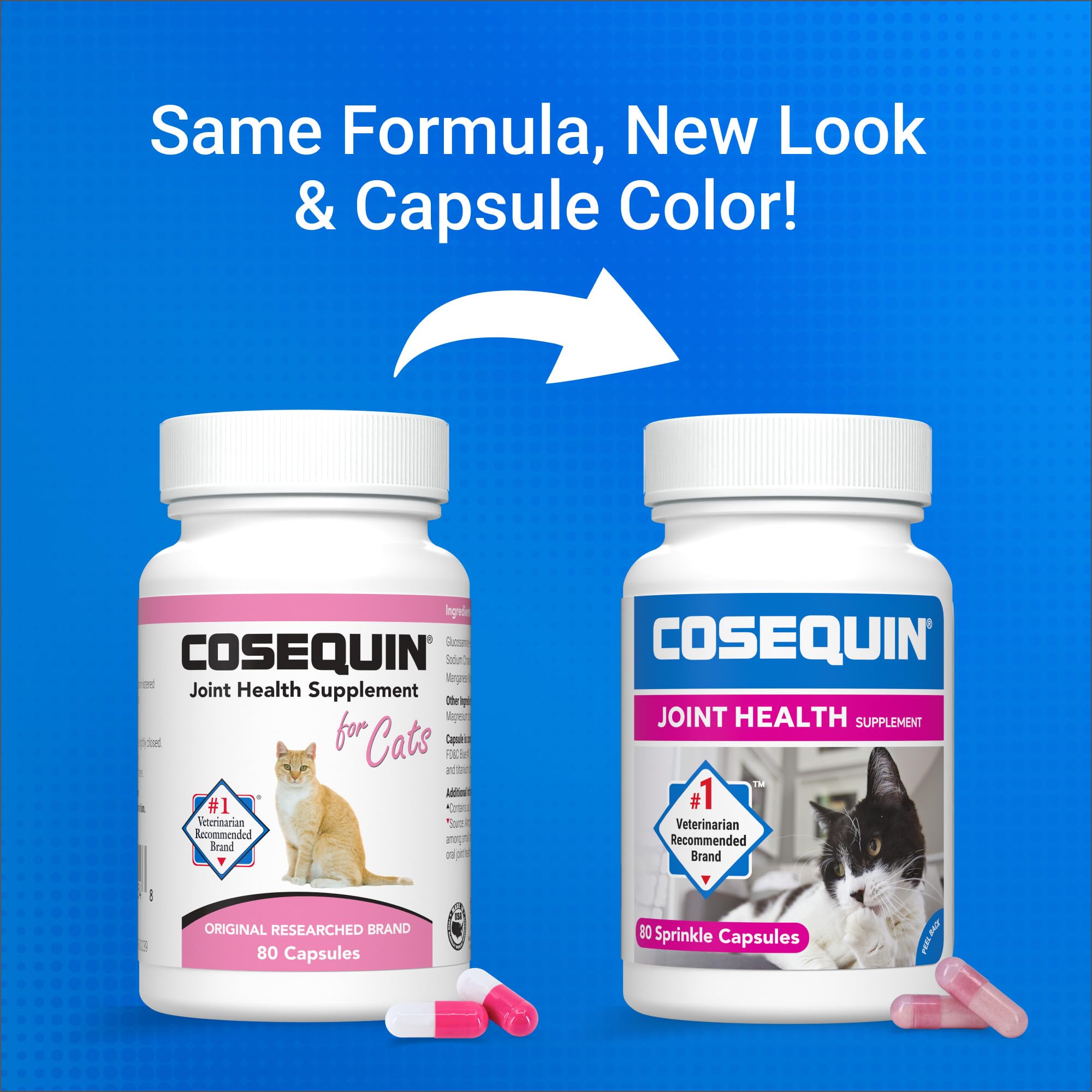 Cosequin capsule ouverte gros plan montrant la poudre facile à saupoudrer