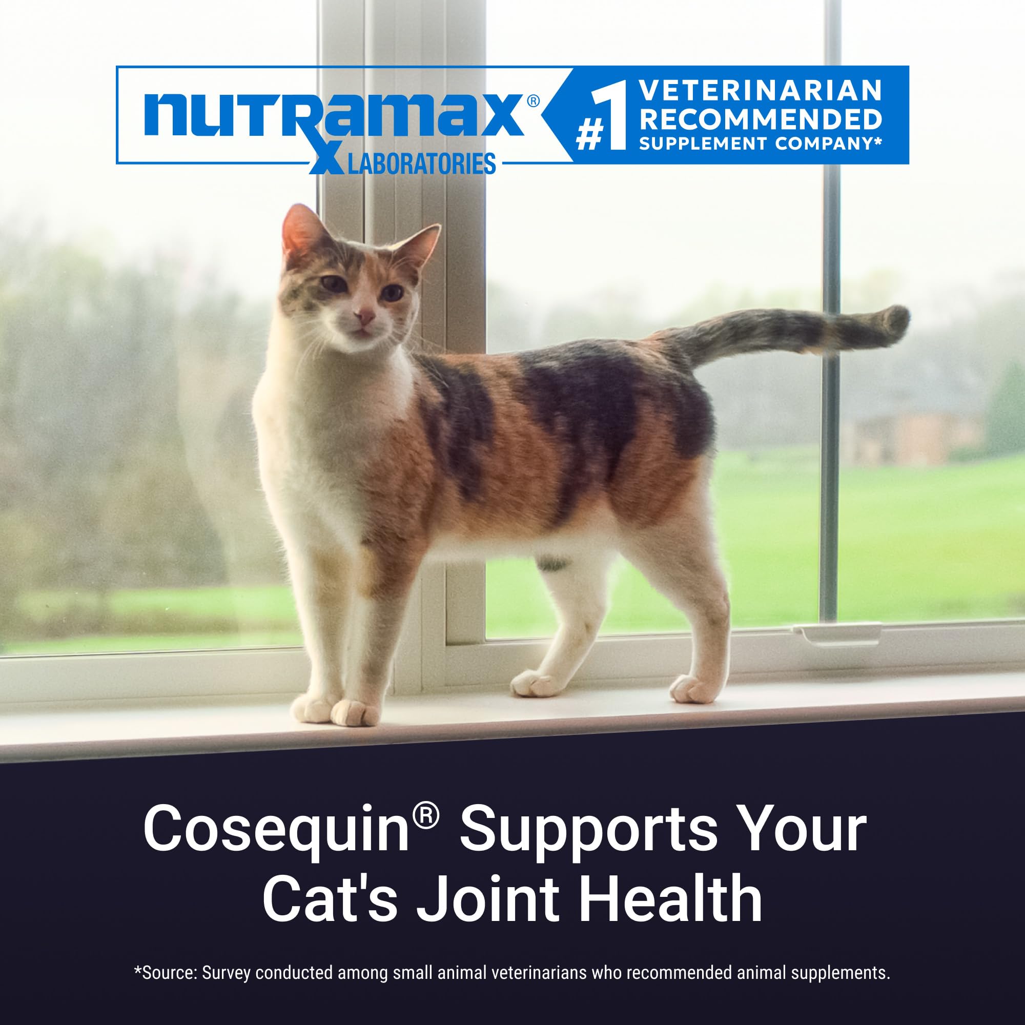Cosequin poudre saupoudrée sur croquettes illustrant administration simple