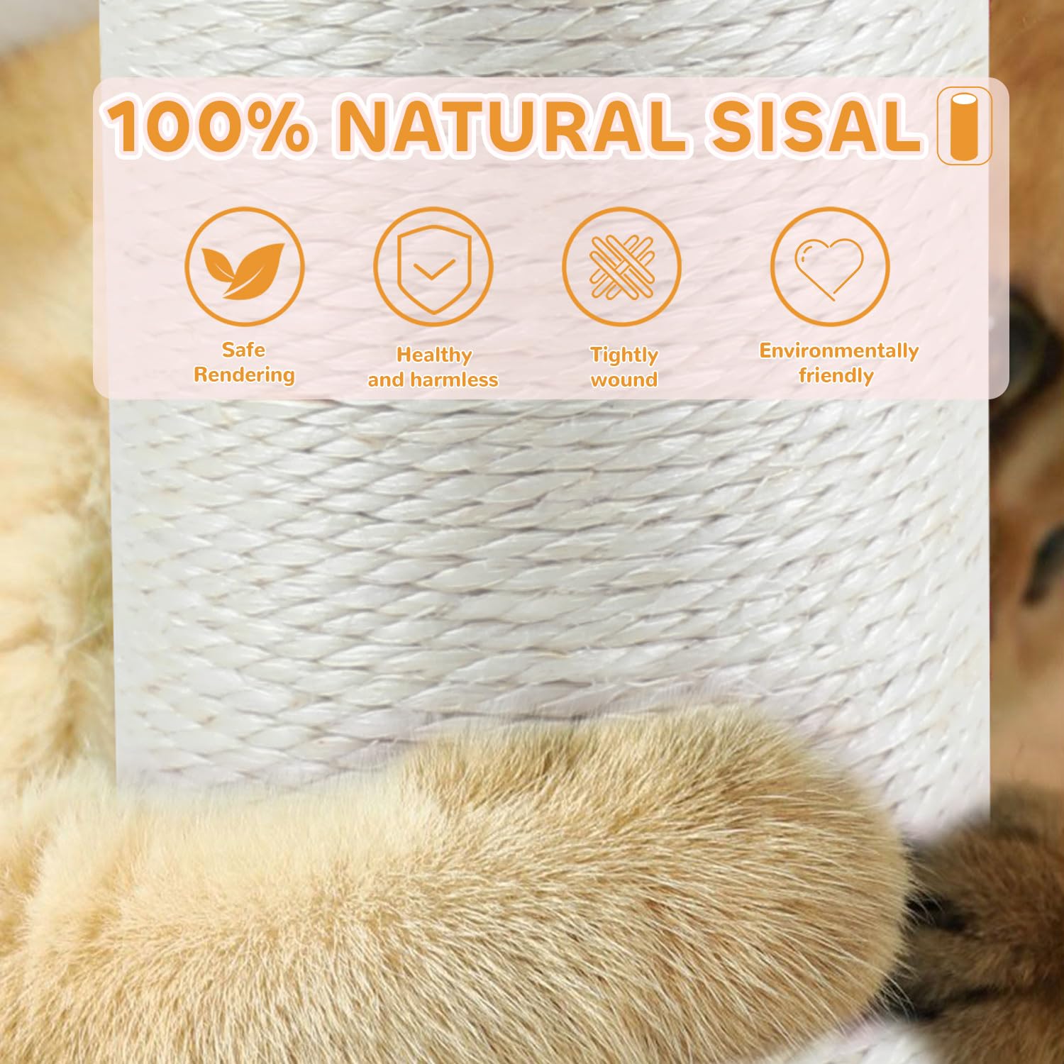 COUNER boules rotatives en bois stimulant l'instinct de chasse