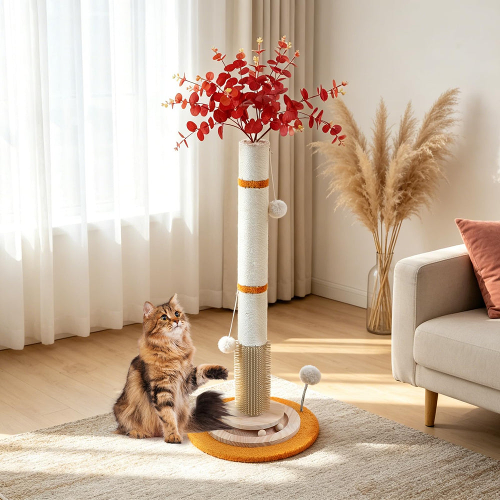 COUNER comparaison taille chat montrant l'étirement complet possible