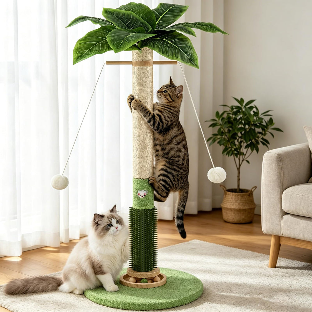 COUNER arbre à chat taille comparative avec chat adulte