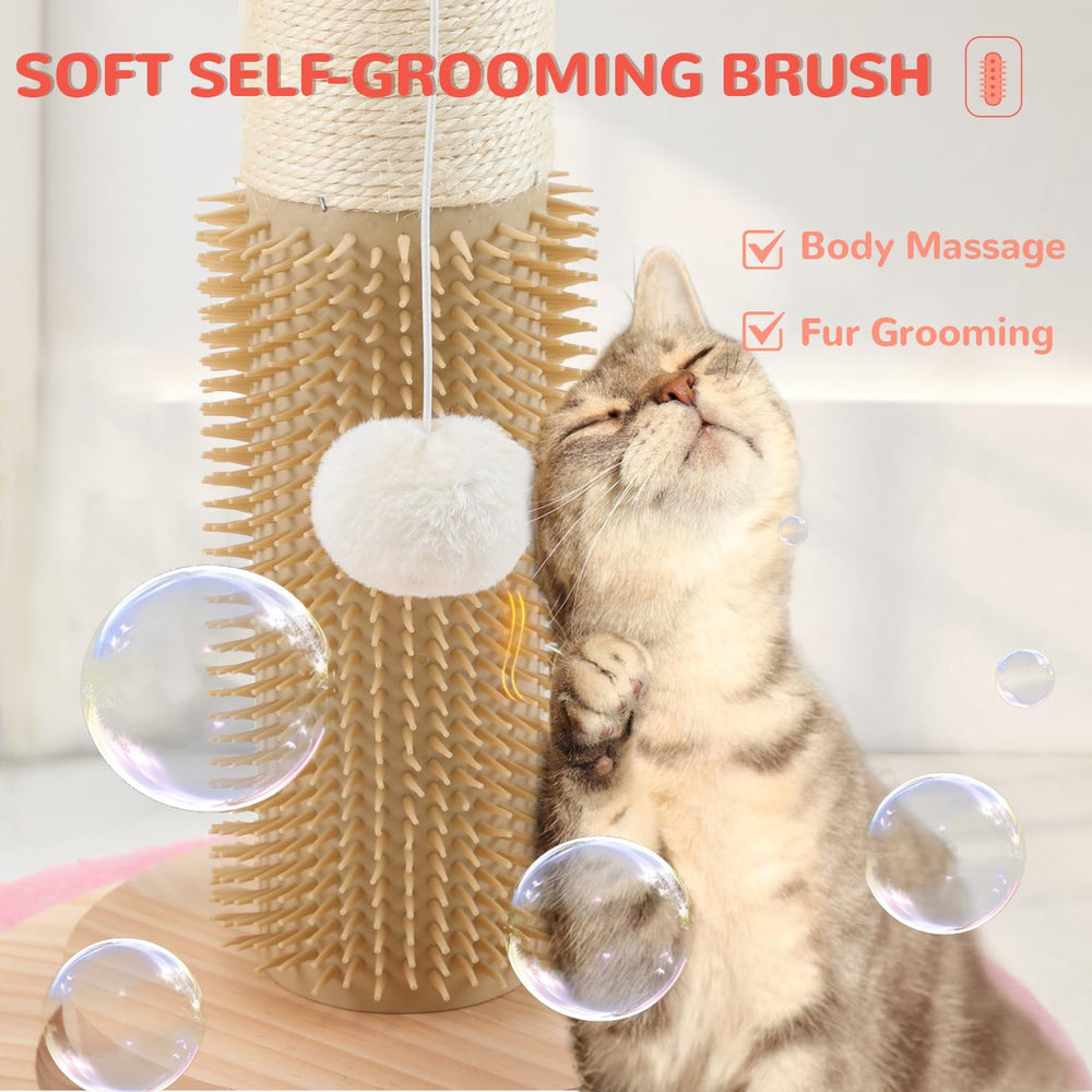 COUNER sommet avec balles suspendues incitant sauts et activité physique chez le chat