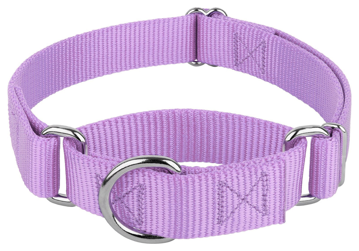 Country Brook Design collier martingale face avant montrant la couleur lavande et sécurité