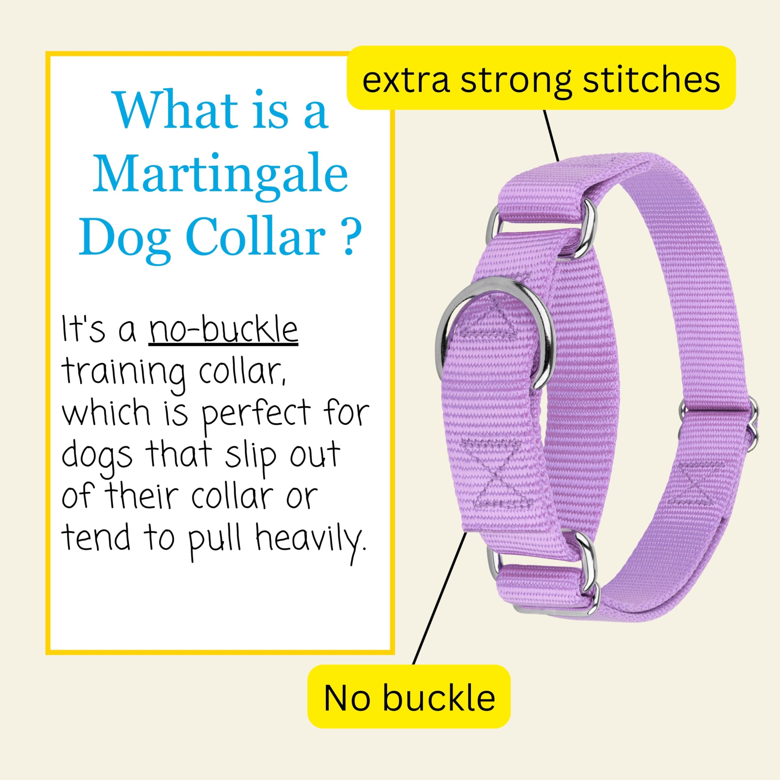 Country Brook Design collier porté par un corgi montrant maintien sécurisé