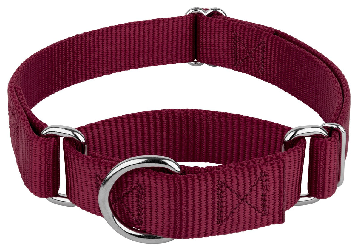 Country Brook Petz collier martingale devant montrant maintien sécurisé