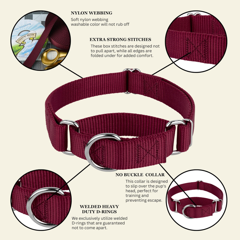 Country Brook Petz collier en action avec laisse montrant contrôle doux