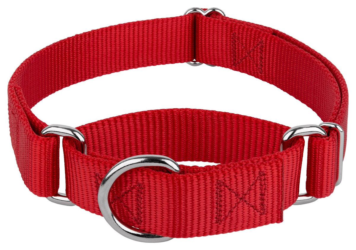 Country Brook Petz collier martingale face avant donnant maintien sécurisé