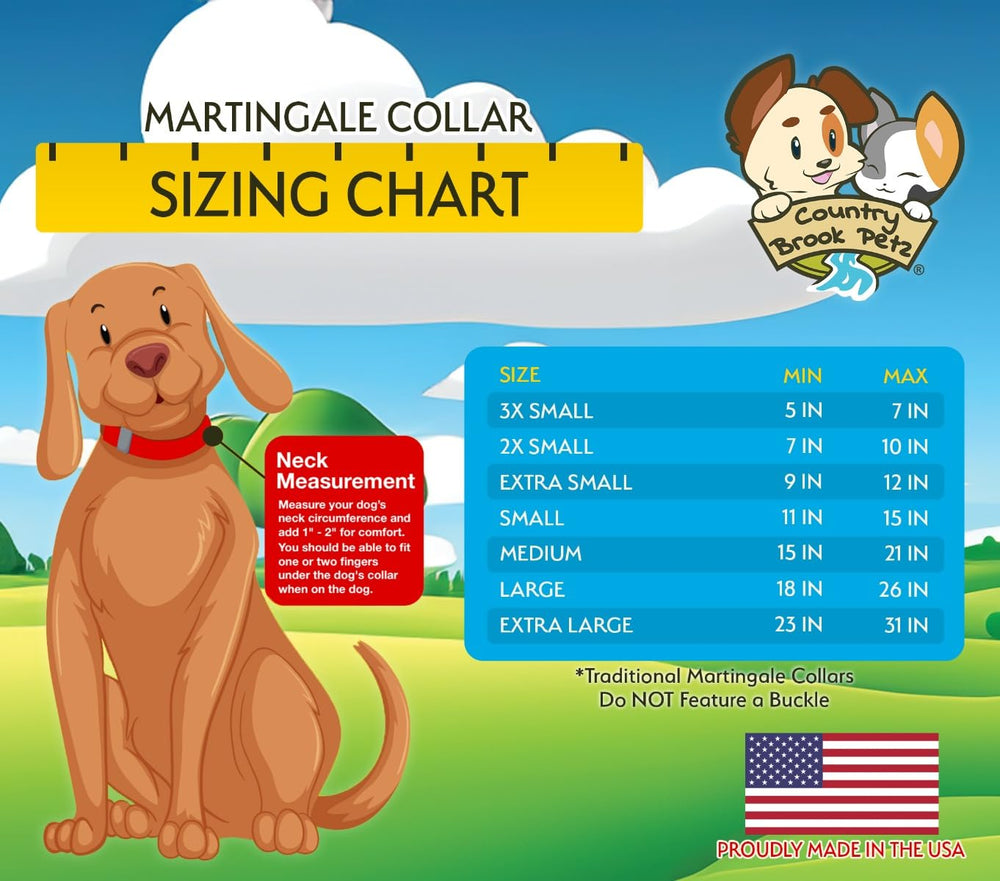 Country Brook Petz collier porté par un corgi, contrôle doux