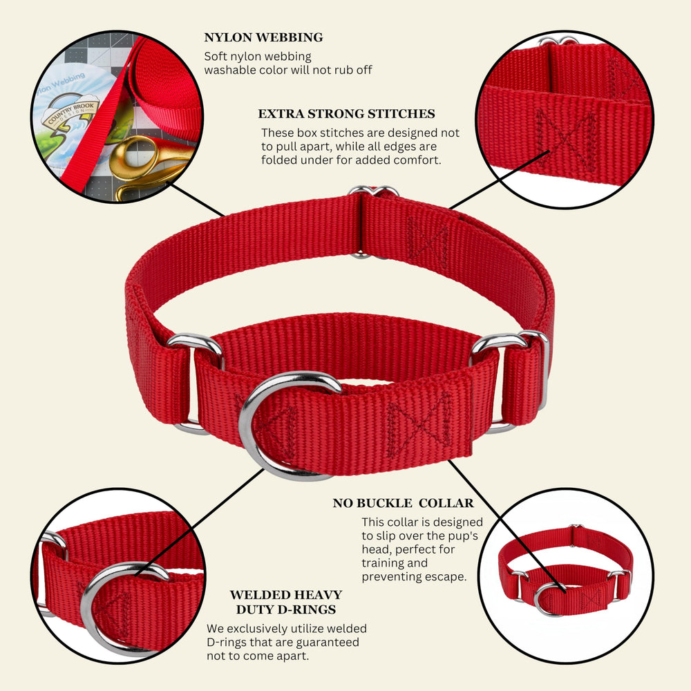 Country Brook Petz collier rouge en promenade urbaine, style adapté