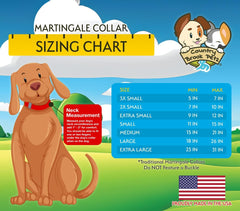 Country Brook Petz collier porté sur un Corgi démontrant ajustement idéal