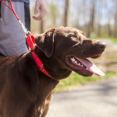 Country Brook Petz zoom nylon texturé, confort et durabilité