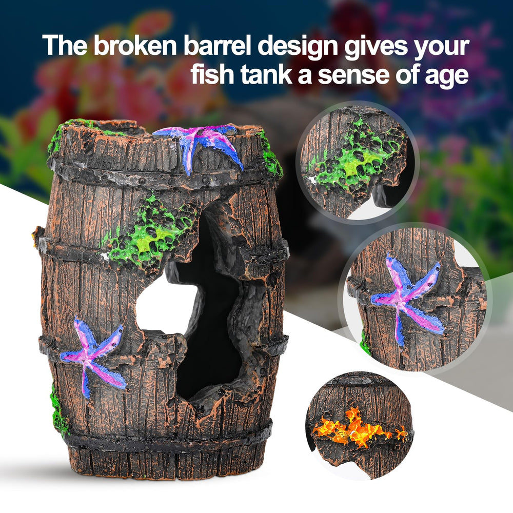 CousDUoBe décor installé en aquarium créant ambiance marine